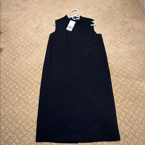 Zara Black Sleeveless Sheath Dress